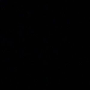 Meet your Posher, Maggie